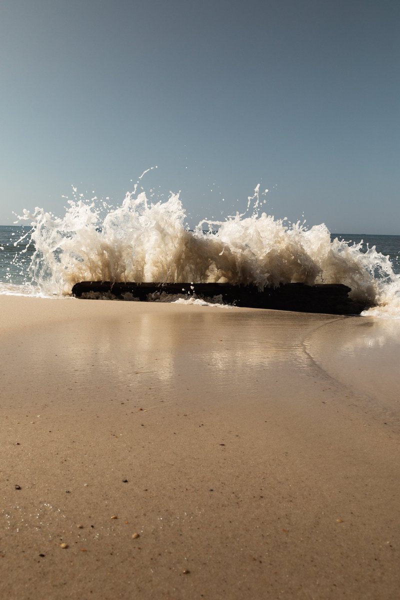 CorbeledBrick's tweet photo. Action shot of some drift wood.
#fineartphotography #photography #gulfshores #beachphotography #canon #naturephotography #beachesofinstagram #rawbeaches #fineartphotography #moodygrams #explorecreate #artofvisuals #landscapephotography #bnwmood #relaxing https://t.co/cfm0Xpx3g2