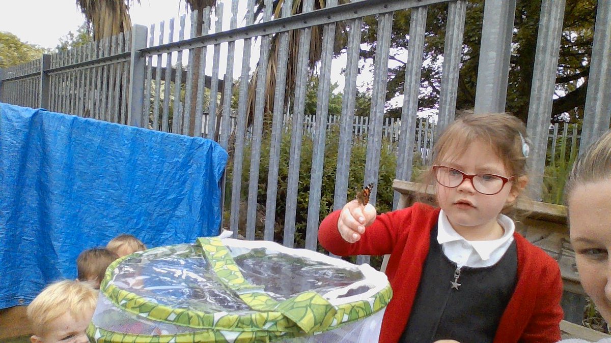 FS_STMore's tweet photo. Our class butterflies have been set free. Thank you for the amazing experience @stmptfa 
@STM_Hull https://t.co/nwbvhexCBd