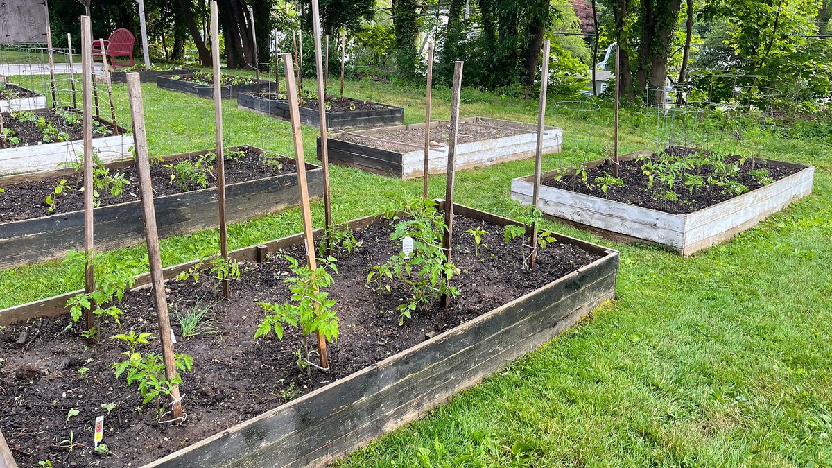 Our St. Paul VI Community Garden is underway! Thanks to our parishioners for volunteering to plant a variety of vegetables, including peppers, tomatoes, and zucchini. All veggies grown will be donated to the St. Rita food pantry.