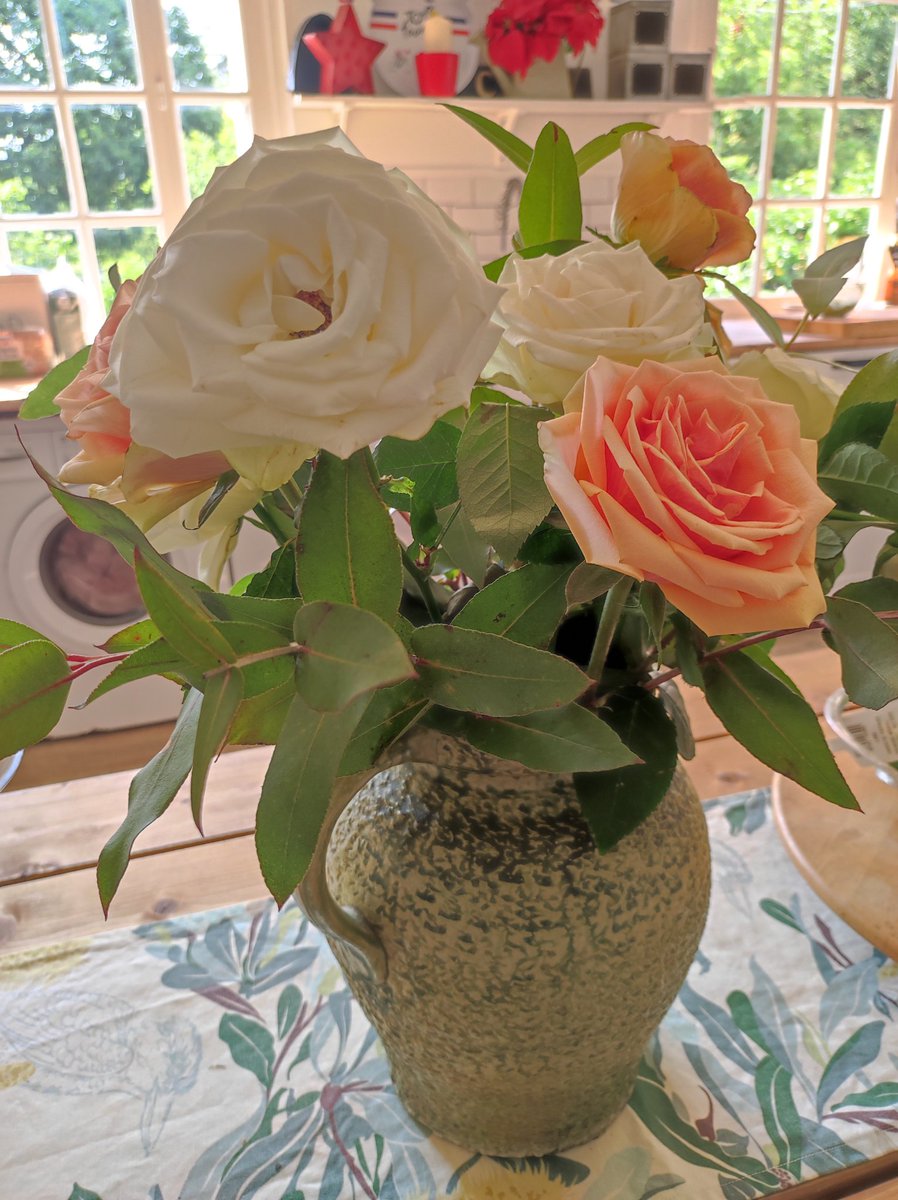 SuzeCY on Twitter "Roses for mother's day (France) from the kid"