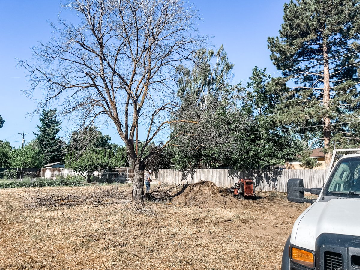 Property maintenance clean up👍🏽.  Tree and brush pile gotta go. #landscaping #propertymaintenance