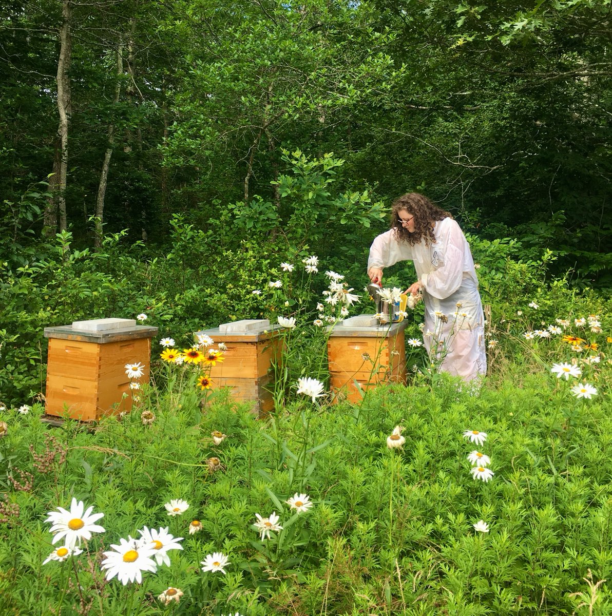 The Best Bees Company tweet media