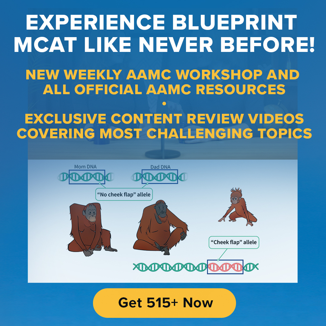 Blueprint MCAT tweet media