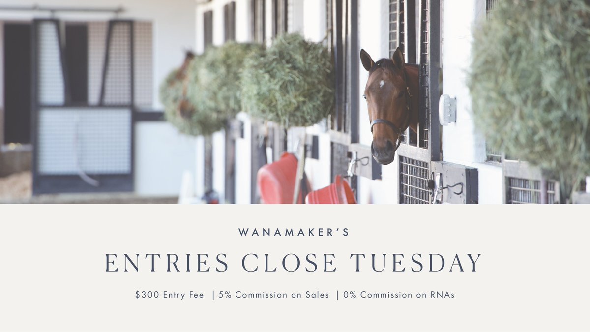 Entries close in ONE WEEK for our June Sale! 

💡 Did you know Wanamaker's is the only auction with no commission on RNAs?

Avoid the large operational effort and costs of traditional sales 👉 wanamakers.com