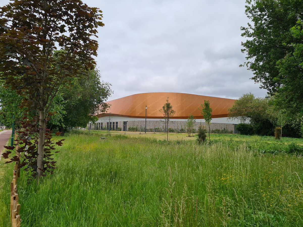 Dead Ready Productions tweet media