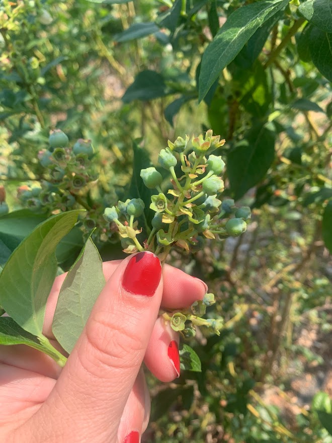 cheyenne sloan tweet media