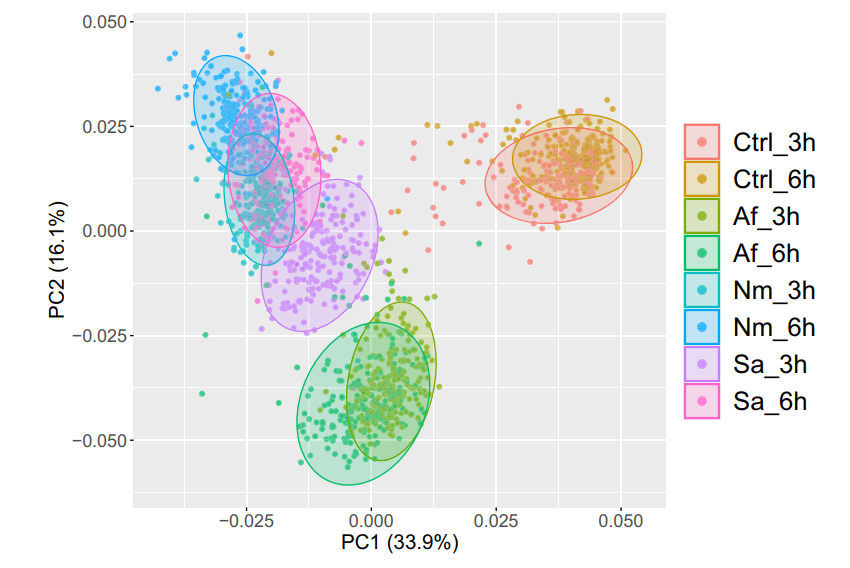 Very happy that our study on genetic polymporphisms governing gene expression in response to pathogens is finally out <a href="/NatureComms/">Nature Communications</a> ! Great cooperation with <a href="/Uni_WUE/">Universität Würzburg #UniWürzburg</a> <a href="/Uniklinikum_Wue/">Universitätsklinikum Würzburg</a> @MBD_lab <a href="/LeibnizHKI/">Leibniz-HKI</a> <a href="/Uni_MR/">Philipps-Universität</a> <a href="/SlavenaVylkova/">Slavena Vylkova</a> <a href="/HdmFun/">HDM-FUN</a> <a href="/TRR_FungiNet/">TRR 124 FungiNet</a> rdcu.be/ddLz4