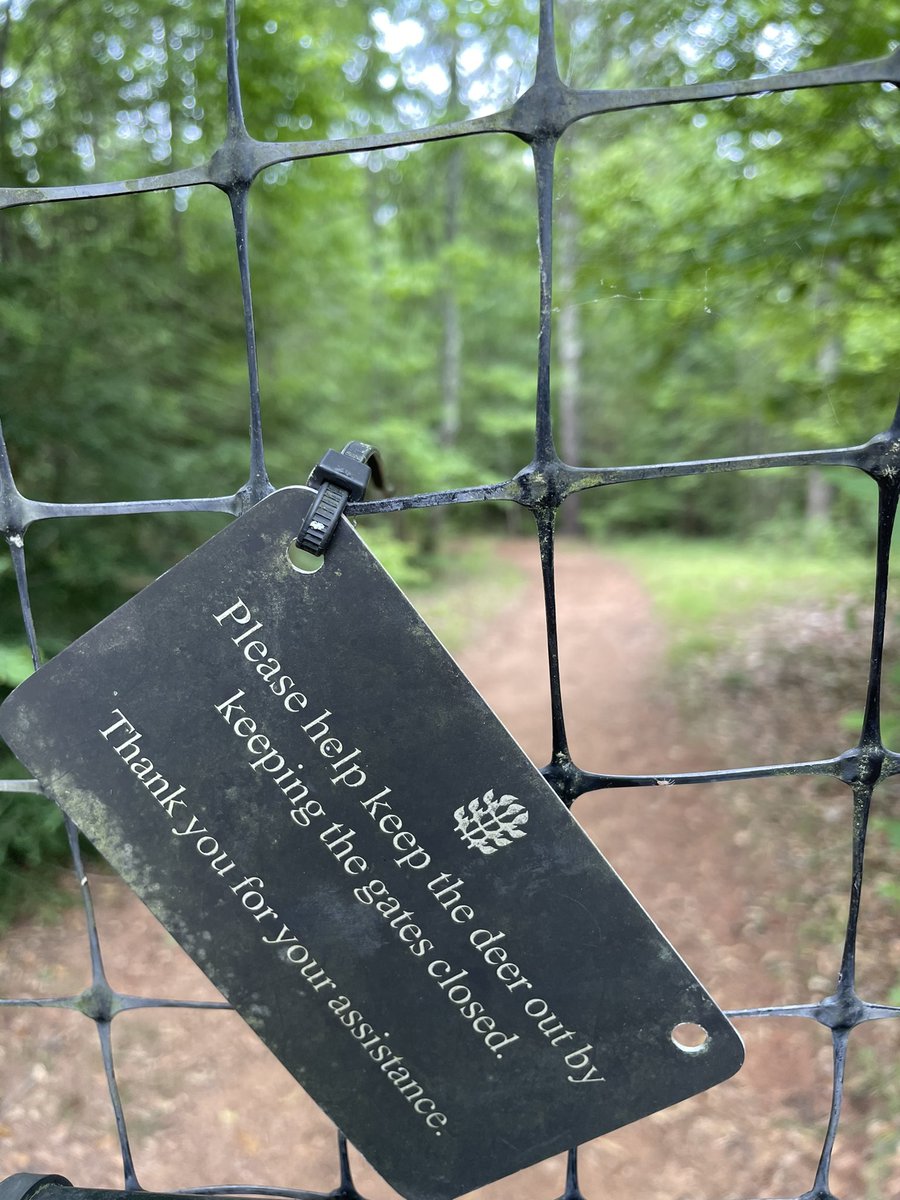 Sue Friedrichs, M.Ed. tweet media