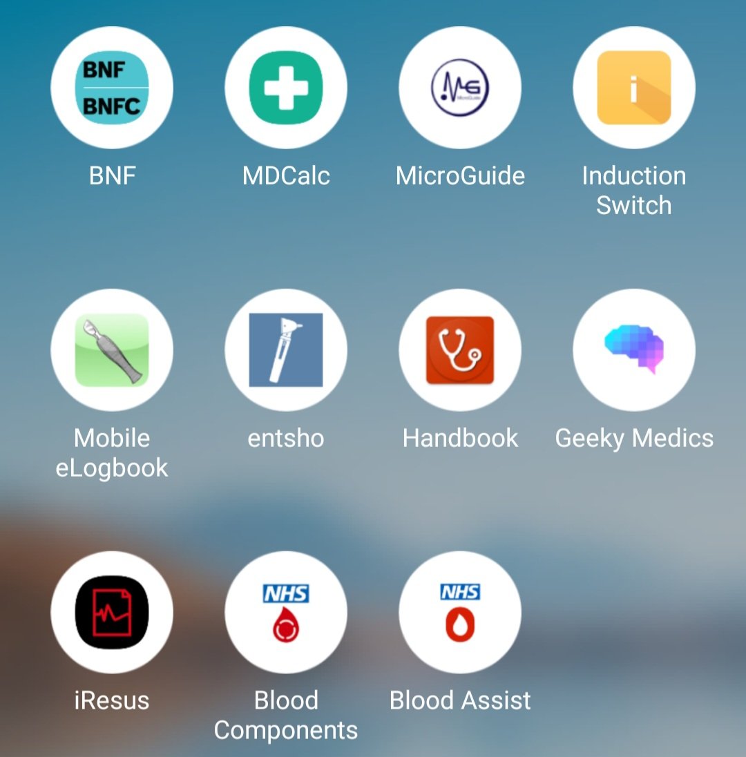 Ellen Nelson-Rowe tweet media