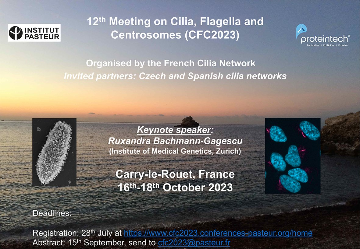 BastinLab_Paris's tweet photo. Registration for the 12th Cilia, Flagella &amp; Centrosomes meeting is now open! Fancy enjoying the Mediterranean seaside while discussing your favourite organelle? This is the place to be! Please RT
https://t.co/u717CsszJf https://t.co/bkcbvFBib4