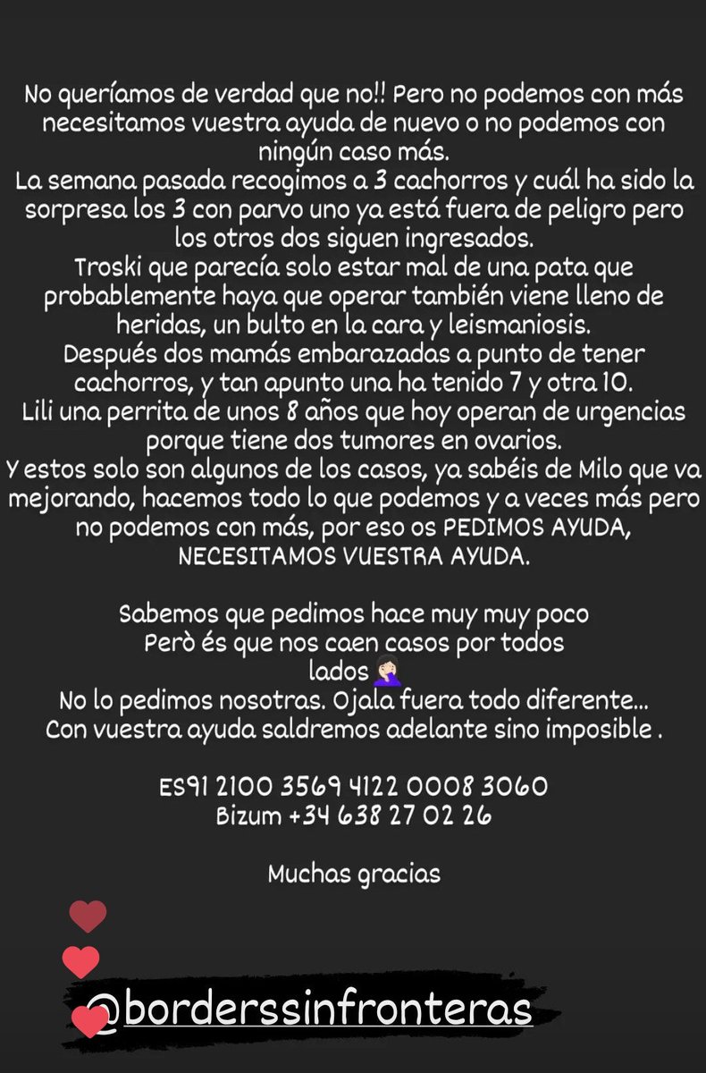 Borders Sin Fronteras tweet media