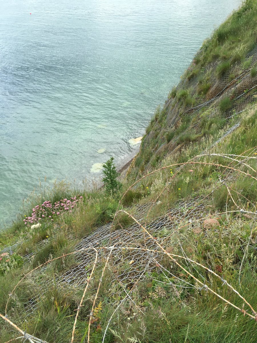 Jeremy Schaap on Twitter: "Pointe du Hoc in 2016 Wound my heart with a
