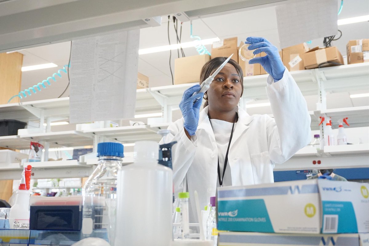 AfricaFactsZone's tweet photo. Sierra Leonean Scientist, Dr. Amie Fornah Sankoh has become the first deaf Black woman to bag a PhD in Science, Technology, Engineering or Mathematics in USA.

She graduated with a PhD in Biochemistry, Cellular and Molecular Biology from from the University of Tennessee (UT). https://t.co/UaXTra7QAf