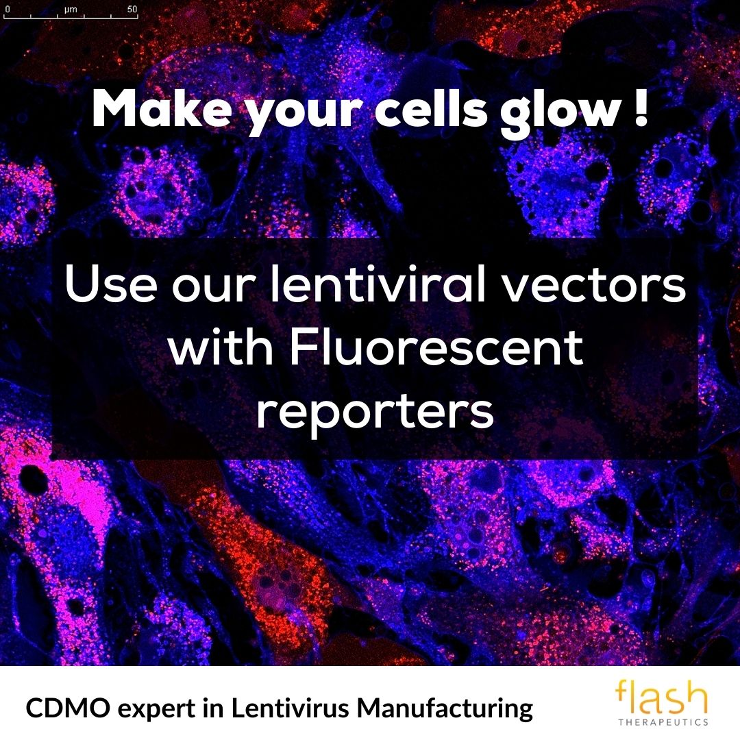 🌈 Want to brighten up your life ?

Try our rainbow of vectors : Zs-Green, TurboRFP, TurboGFP, m-Cherry, td-Tomato, Am-Cyan, Zs-Yellow…

Check out our standard offer 👇
lnkd.in/dnTuyZbK

#lentivirus #viralvector #makeyourcellsglow #lentiviralvectors #glowup