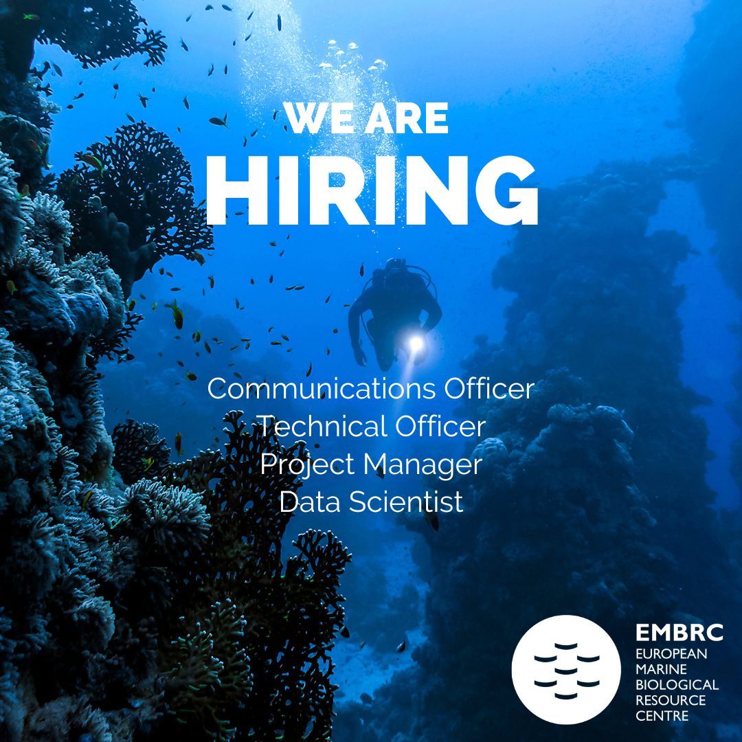 📢We're #hiring ! 🔹Communications Officer 🔹Technical Officer 🔹Project Manager 🔹Data Scientist 🌊Interested in working with our international team on #marinebiodiversity? Read the full job descriptions & apply here👉lnkd.in/enKeMP7s #science #jobopportunities