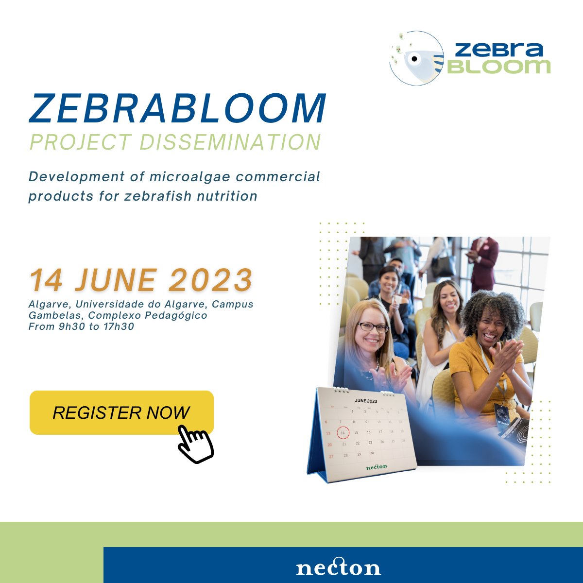 🔔 Time is running out! Only three days left to secure your spot at Zebrabloom Workshop!

Registrations for this workshop will close on June 8th.
Register Now: lnkd.in/dM-HhPSY

📍 Universidade do Algarve 
#necton #innovation #project #zebrafish #CRESC2020 #PT2020 #FEDER