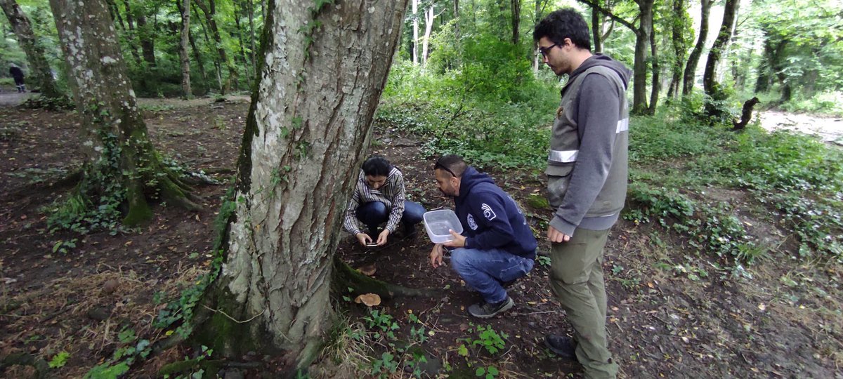 DoğaKorumaMilliParklar 1.Bölge tweet media