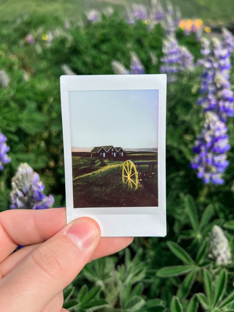 nev_in_color's tweet photo. GM from Iceland. 🇮🇸 https://t.co/eYABByWBWU