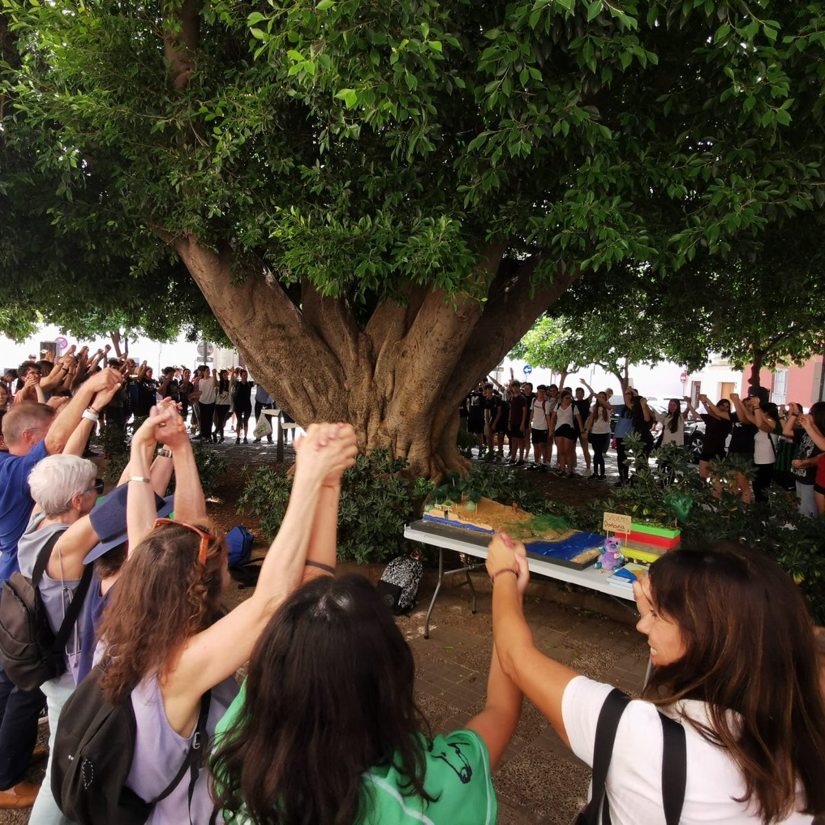 arbolsanleandro's tweet photo. Celebrando Día Mundial Medio Ambiente https://t.co/eFAGyzXoKY