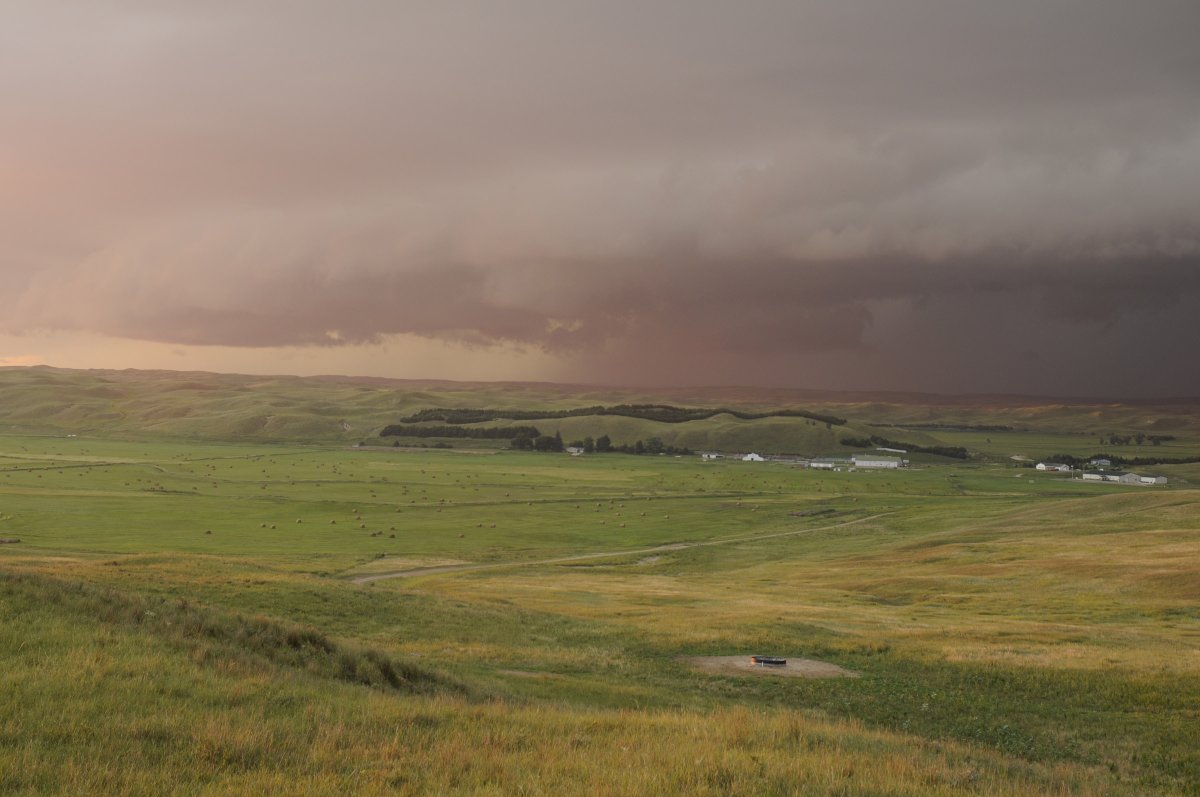 Learn about updates on the ranch, as well as range and pasture outlooks and more in the spring 2023 Gudmundsen Sandhills Laboratory Researcher. Read and subscribe ›› extension.unl.edu/statewide/cent…