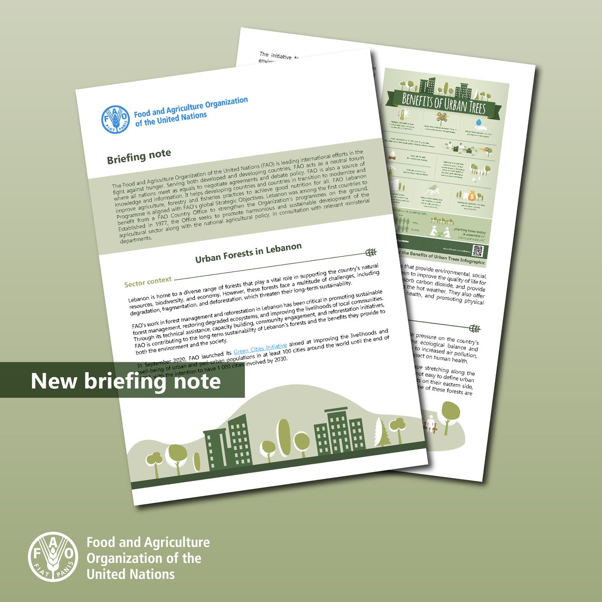 FAOLebanon's tweet photo. On #WorldEnvironmentDay, check @FAOLebanon's latest #BriefingNote on #UrbanForests in Lebanon🇱🇧&amp; learn about:
🌲their vital role in supporting the country's natural resources, biodiversity &amp; economy
👉the challenges
🇺🇳FAO interventions, response &amp; impact
🔗https://t.co/jP2posaF2H https://t.co/5qhOIDU7sG