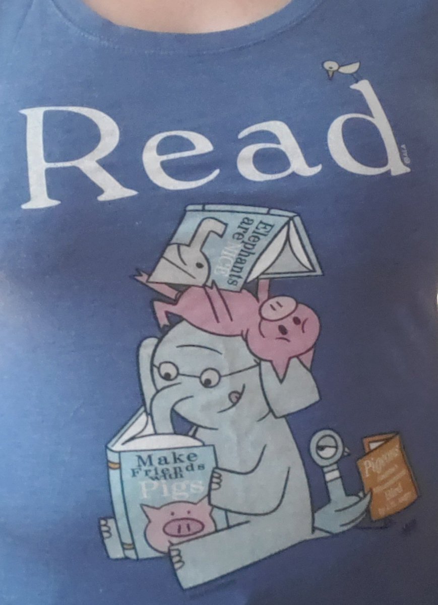 MsQuinnLESA's tweet photo. 168:170 #TshirtSchoolYr Time to really focus on the summer TBR list! #findyourjoyhere #LincolnLionsPride https://t.co/I4O3GAh0Kq