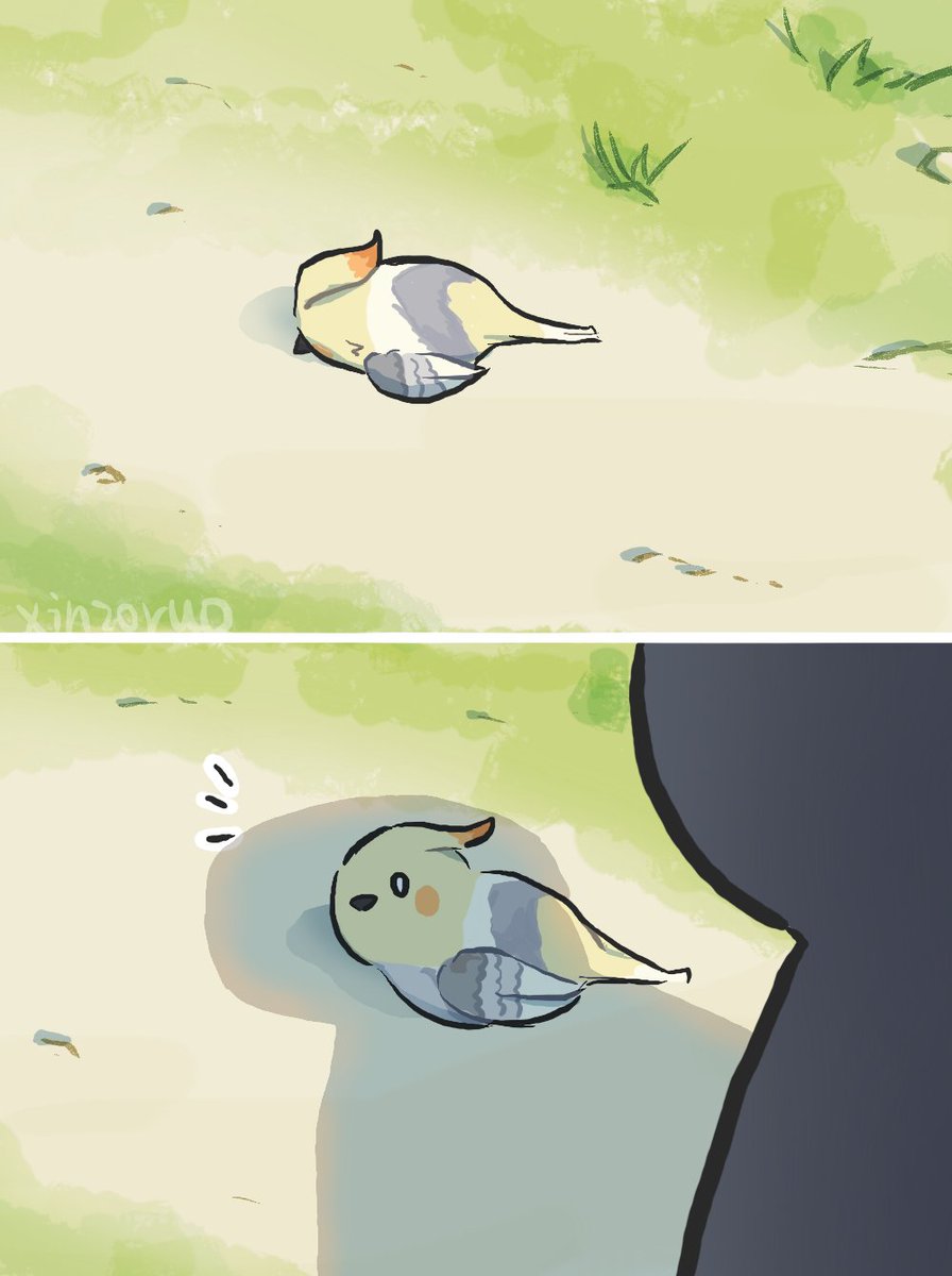 心臓弱眞君 tweet media