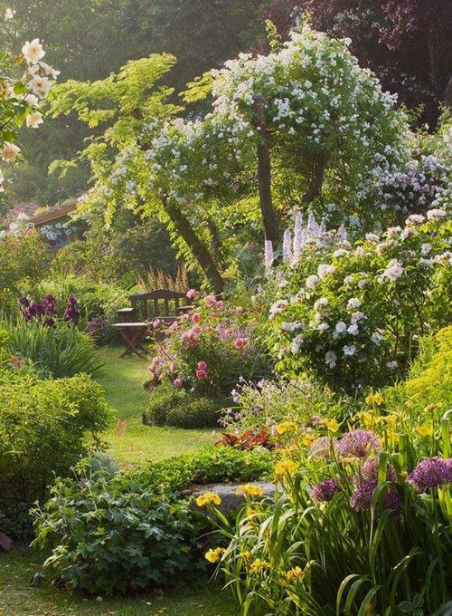 artindetaiIs's tweet photo. peaceful life 🌿 https://t.co/2gGs9Bayhp