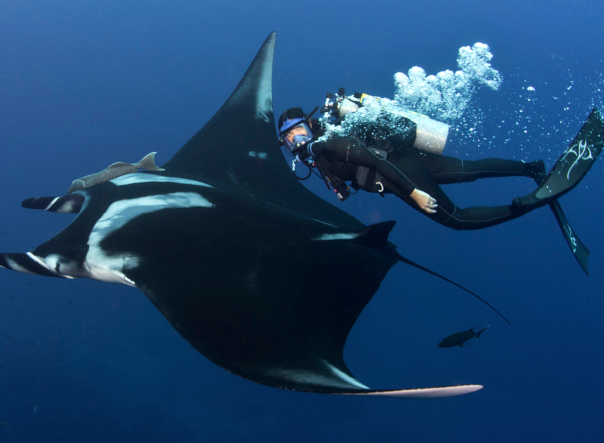 EBTSOYP's tweet photo. Crazy day for #WorldOceansWeek today - four programs - 2300 kids registered and we're off below the surface at the undersea lodge, learning about microplastics with @NRC_CNRC, doing Galapagos exploring with @BugSalome and hanging with the @QueenofMantas https://t.co/VuuHzRcZKI