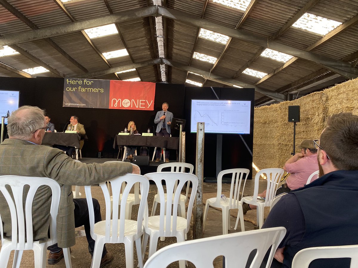 Adam Hayward tweet media