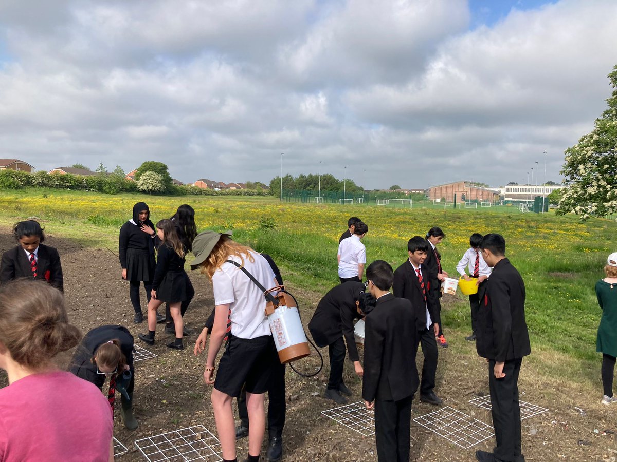 8PCN and some of our Environment Leaders have been scattering & watering wildflower seeds on our forest site recently with Mrs Taylor & Mrs Richards. We can't wait to see how this will look later in the Summer!🌼 #LadybridgeLearners #LadybridgeFarm #environment #connectwithnature
