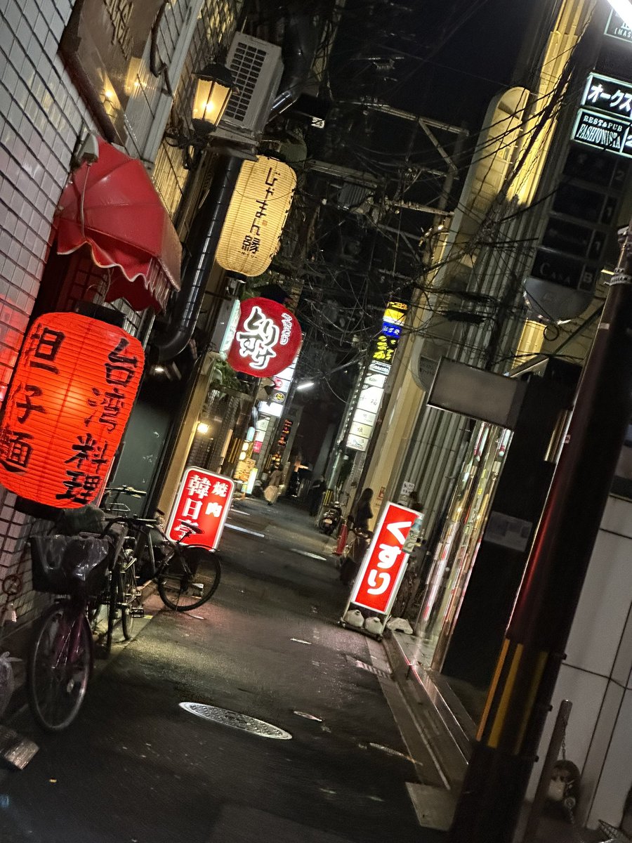RealLuigikid's tweet image. Japan Kyoto Phtodump:
One of the most beautiful places I've ever seen in my life!
____
Fun Fact: The Fushimi Inari Shrine (Picture with the red Gates) inspired Shigeru Miyamoto to create the Star Fox Series 👀

We will be driving to Osaka now and check more of Kyoto on Thursday