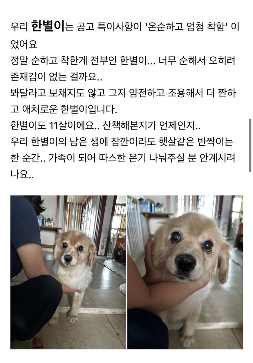 가족 찾기 끝 tweet media