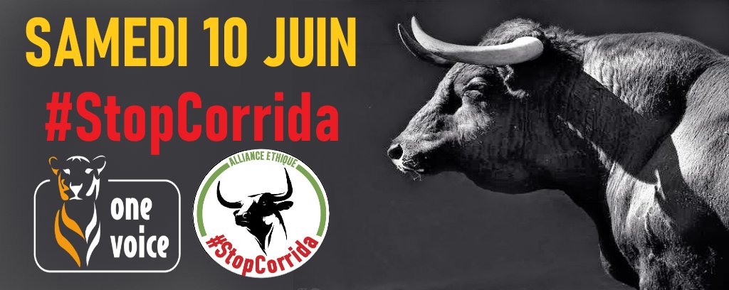 Mobilisation nationale ce w-e contre la #corrida avec plusieurs asso. dt @CRAC_Europe 
Liste des villes qui porteront la voix des taureaux et des chevaux victimes de la tauromachie dans 10 dépts français, ➡ facebook.com/stopponslacorr…
#StopCorrida #CorridaBasta  #SouffranceAnimale