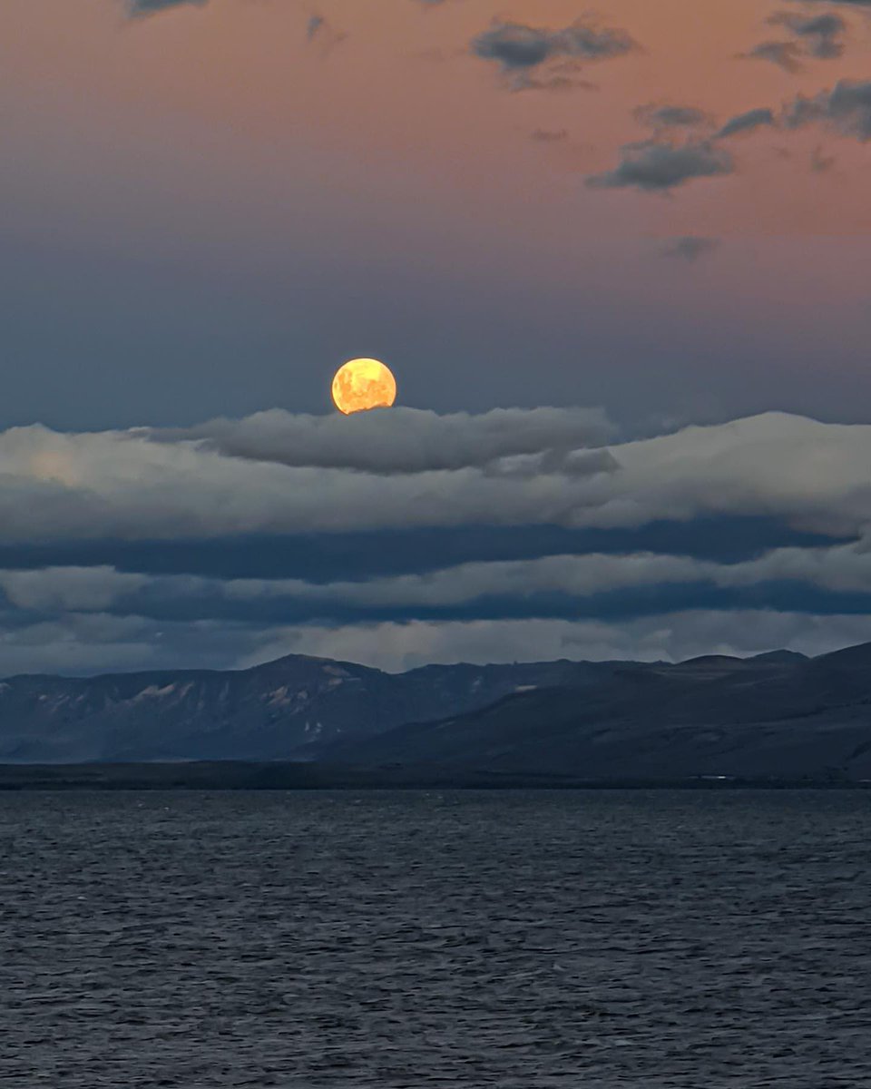 argentinapatago's tweet photo. Luna llena sobre el lago Nahuel Huapi. 🌕🫶
Foto: @ferbure https://t.co/7p3nKKa1Tn