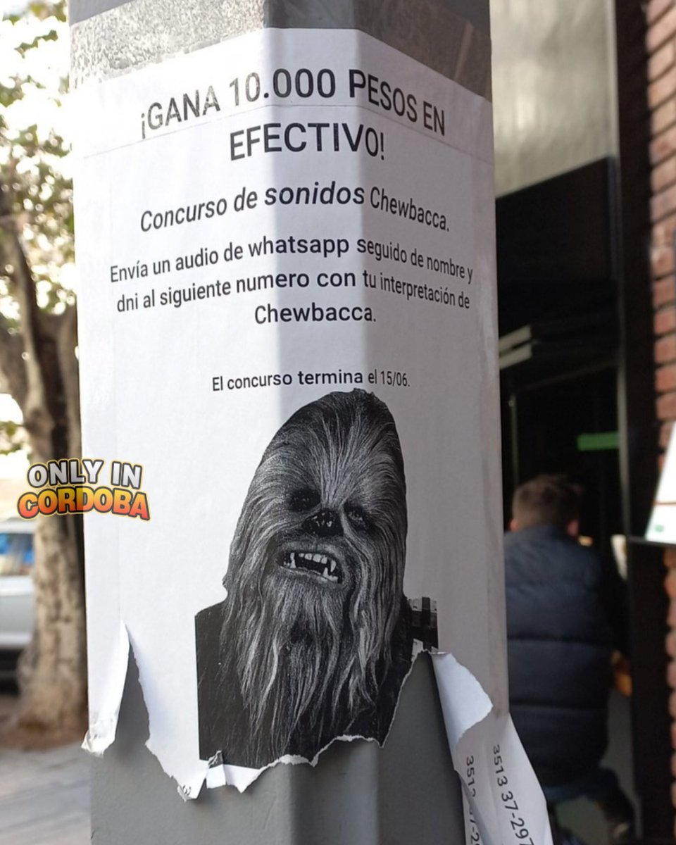 Be Chewbacca  #StarWars 
#NuevaCordoba