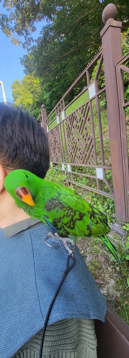 나가면 모두에게 즐거움 주는 우리 아가