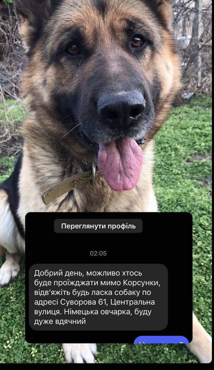 dashadasha9590's tweet photo. Мені дуже сильно хуйово. https://t.co/2sM1wdzO12