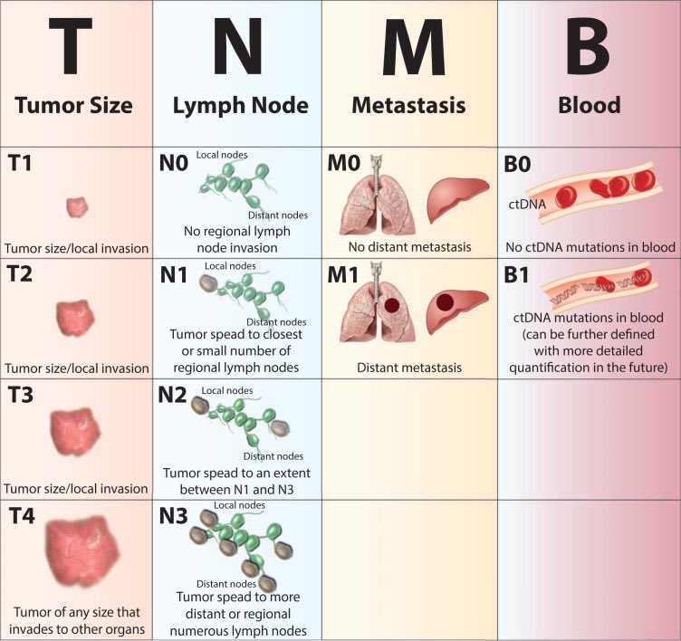 Circulating tumor DNA (ctDNA) is found in the bloodstream and refers to DNA that comes from cancerous cells and tumors. 

Most DNA is inside a cell’s nucleus. As a tumor grows, cells die and are replaced by new ones. The dead cells get broken down and their contents, including…