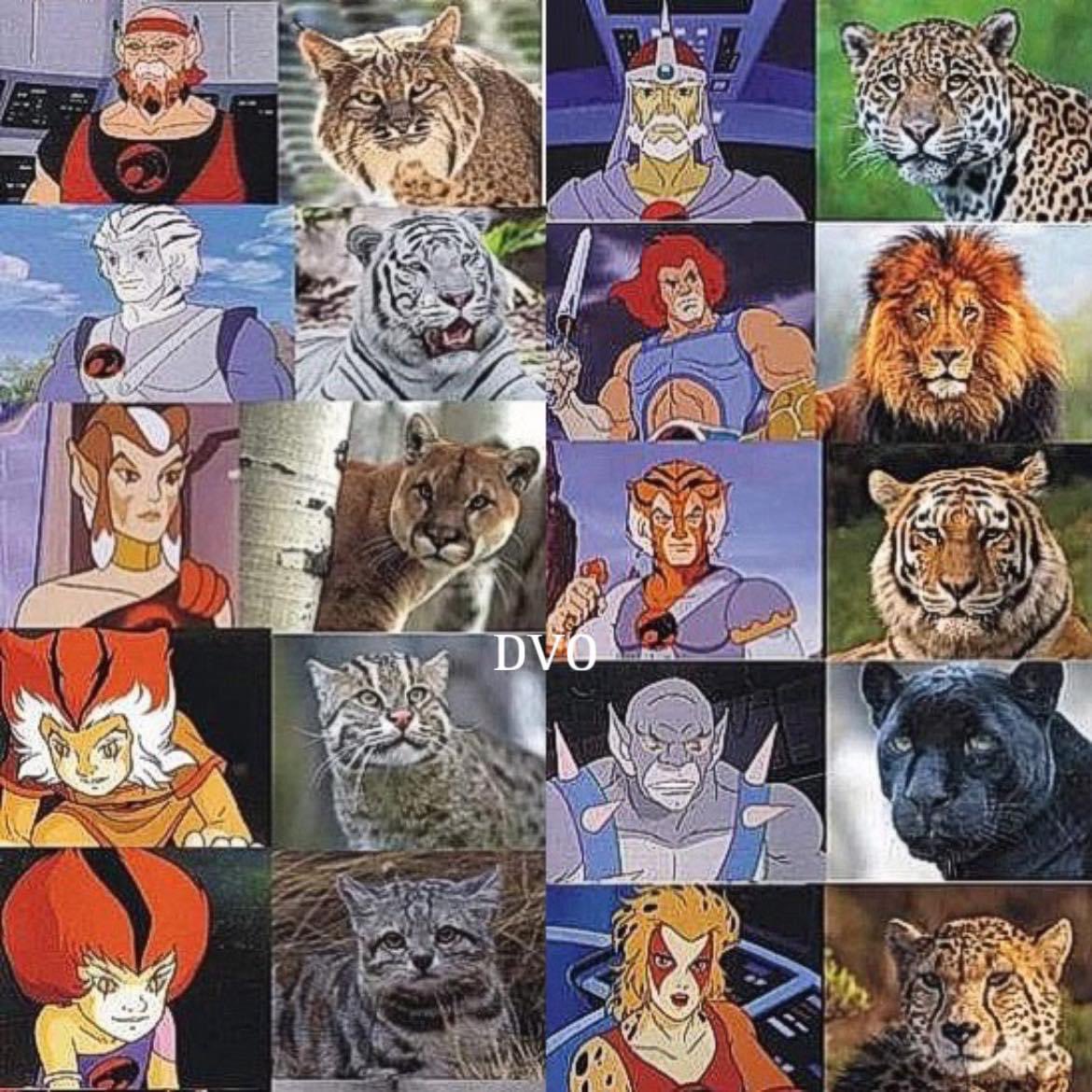 Thundercats, hooooooo!!!