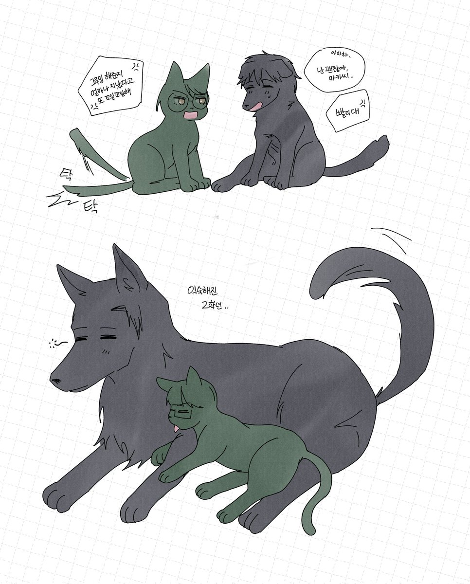 그뭔,,🐕🐈‍⬛