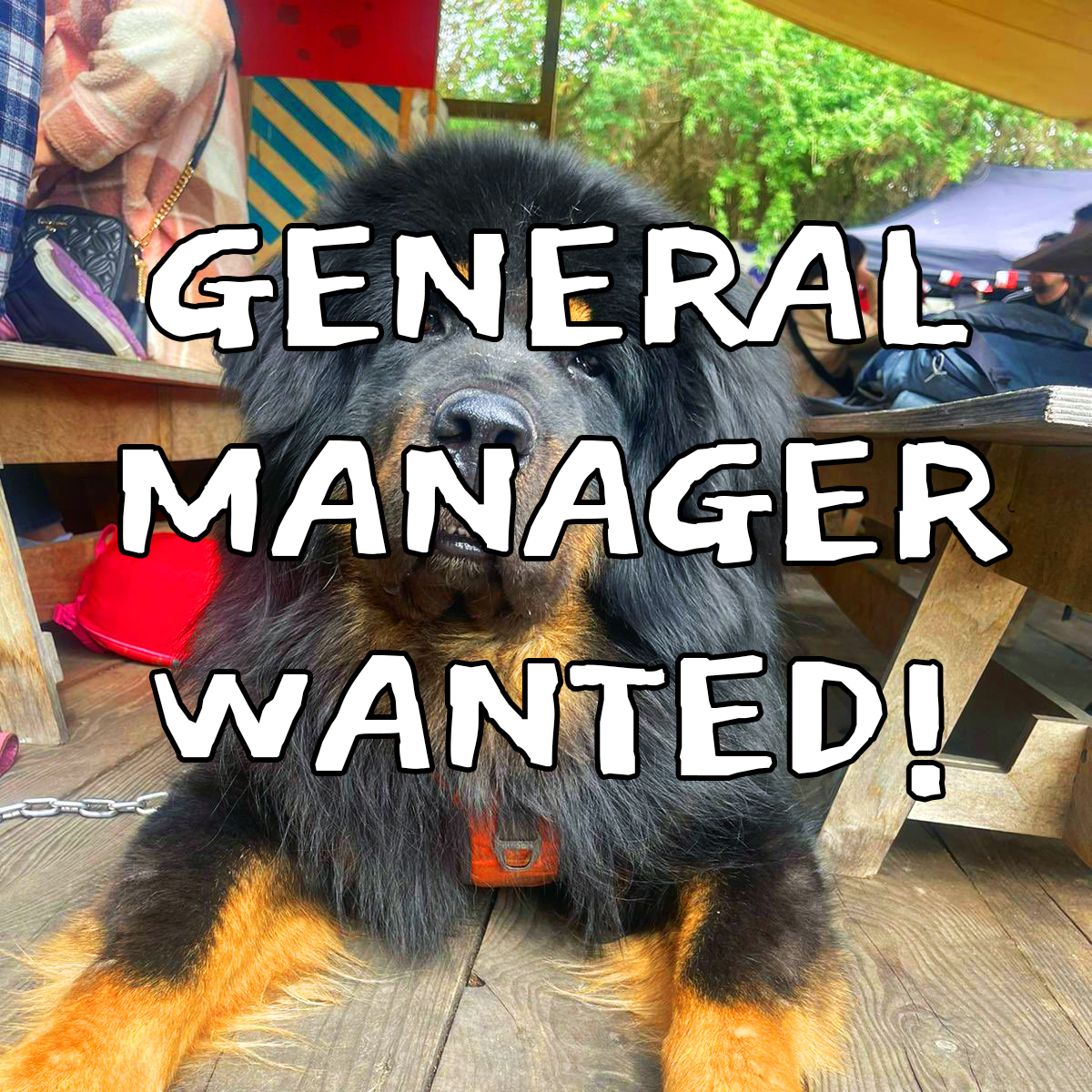 ***GENERAL MANAGER JOB***

We are looking for not only a new GM for GRUB but also our new mega exciting return of <a href="/FSCMCR/">Fairfield Social Club</a> scheduled for September!

Full details at the link below, please do tag your pals and share to make sure we get the top dog :)

grubmcr.com/gmjob