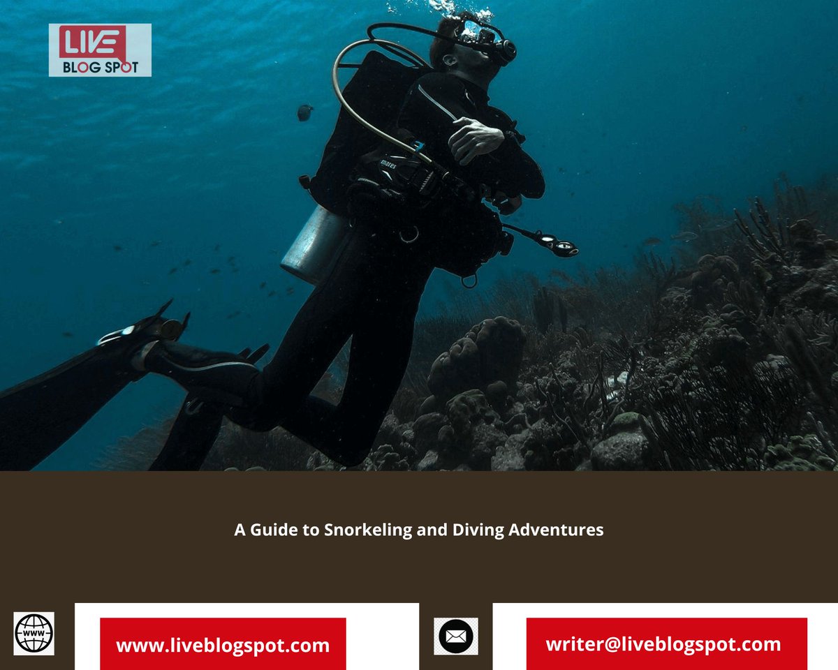 liveblogspot's tweet photo. 👉 A #Guide to #Snorkeling and #Diving #Adventures

👉 Read More:--> https://t.co/L6Ve6srOi4

#travel #writeforustravel #snorkeling #diving #adventures #treasures #scubadiving #travelguestpost #writeforus #liveblogspot #guestpostservices #paidguestpost #highdaguest https://t.co/gxpyqgAc1W