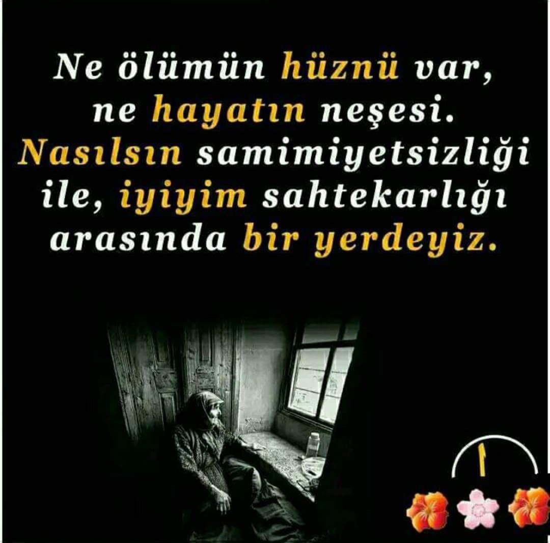 seydigll's tweet photo. https://t.co/aMeDRXzlMo
