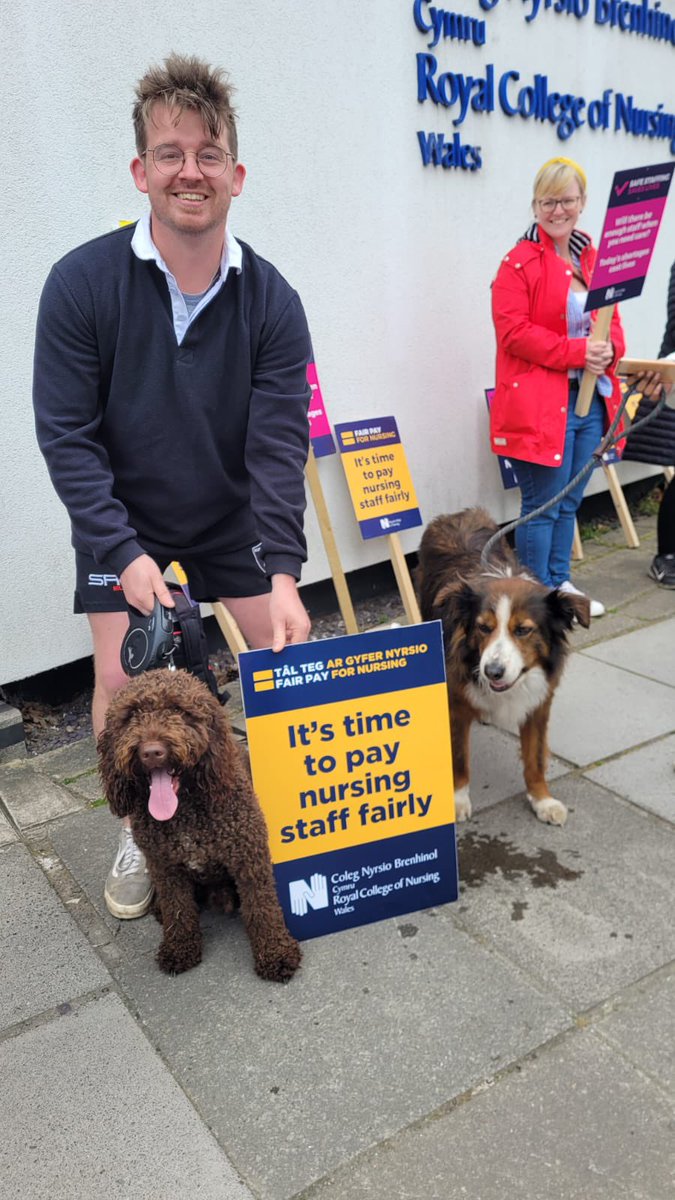 RCNWales's tweet photo. #picketlinedogs at Ty Maeth @RCNWales HQ. 🐾
 
#FairPayforNursing #RCNStrike https://t.co/5VqkEALVye