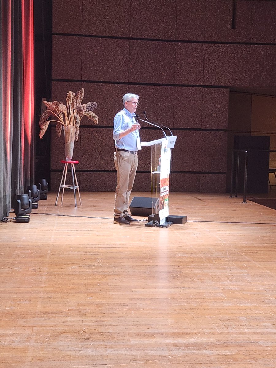 EmmaOmics's tweet image. Editing the way to resilient high value sorghum. @Godwin_UQ gives a great overview of the gene editing activities @UQ_News on Day 2 of @21CentSorgh2023 #sorghum23