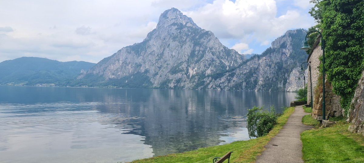 Judith Michael tweet media