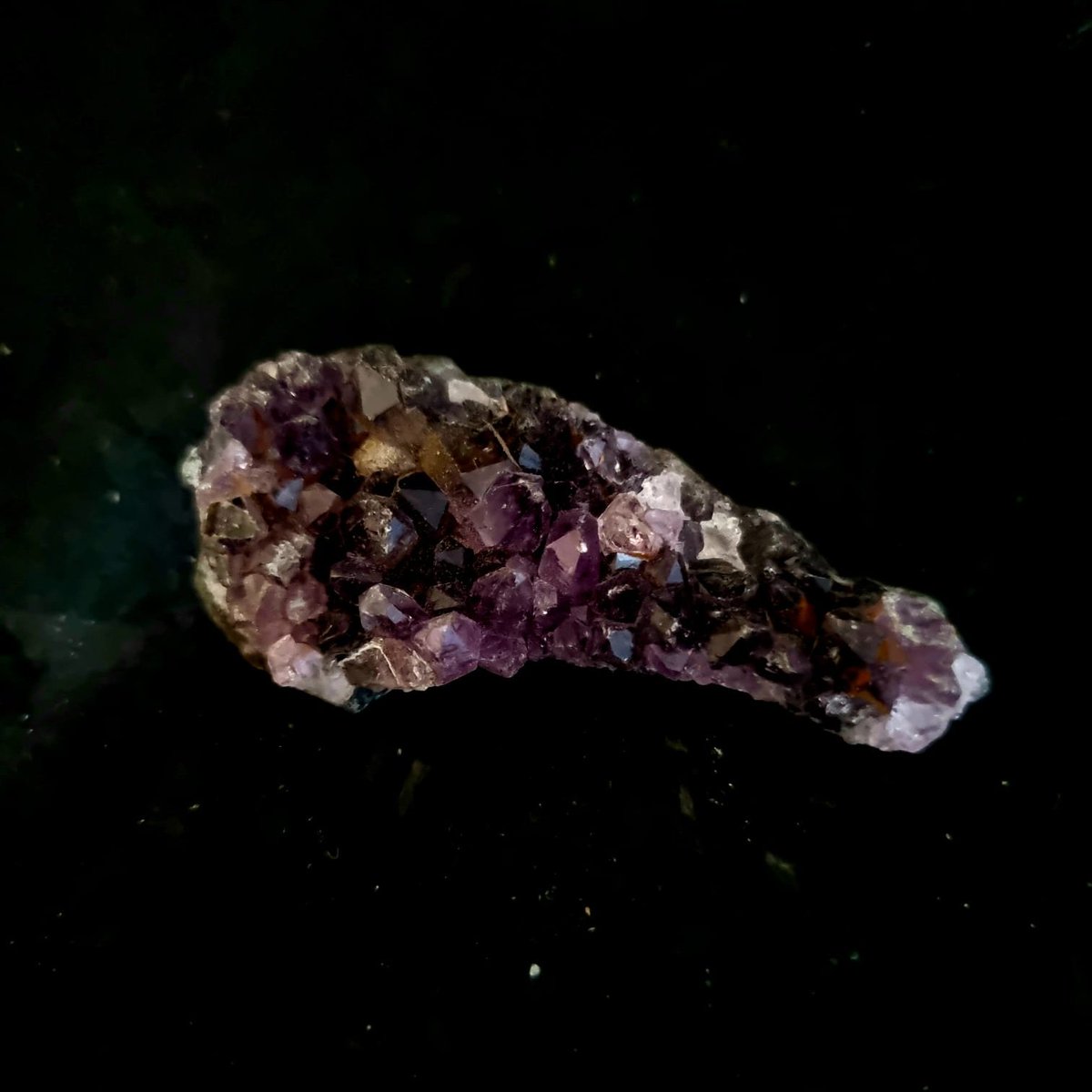 ✨💜 Dive into the world of amethyst! Our Small Amethyst Cluster brings protection and mystical vibes to your space. Don't resist the allure! #AmethystMagic #CrystalProtection 🌟💎

mitchismagickalities.com/product/enchan…