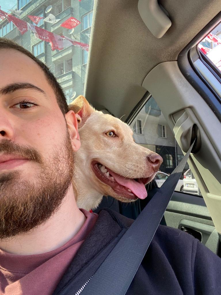 "Software architect by day, gamer by night, and trendsetter all day long. Lets build awesome things together!"

Our lovely CTO Ege Yıldırım said some things about himself.