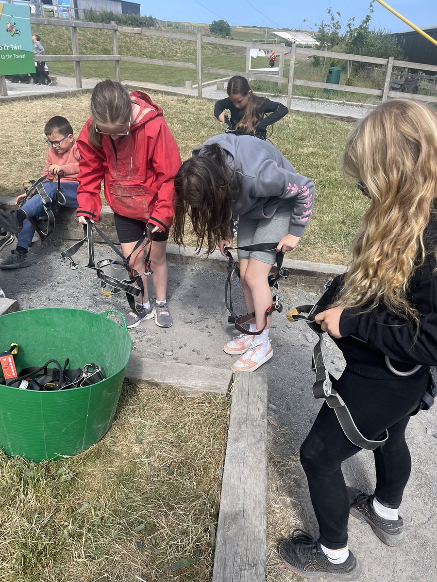 Rhigos Primary tweet media